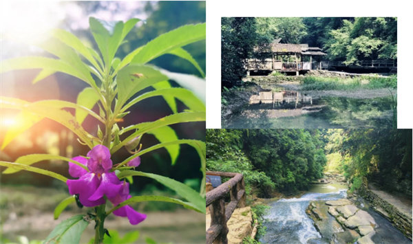 &ldquo;湘&rdquo;約鳳凰，相守未來&mdash;&mdash;2022博皓快樂湖南行    -34