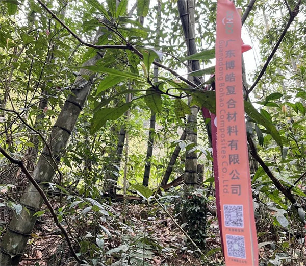 凝心聚力再出發(fā)，風雨同舟赴星溪！--廣東博皓2024龍年首登星溪之旅     -2