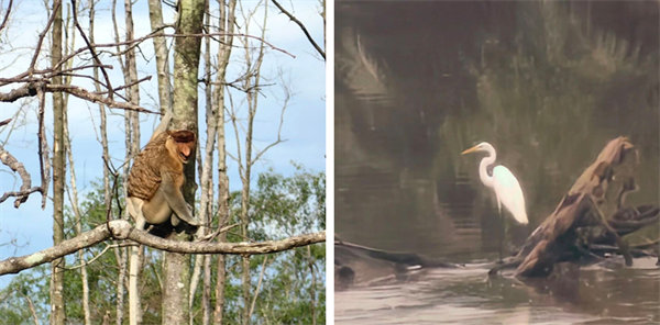 廿載風(fēng)云一路行，馬來風(fēng)情共見證&mdash;&mdash;2024廣東博皓馬來西亞之旅   -13