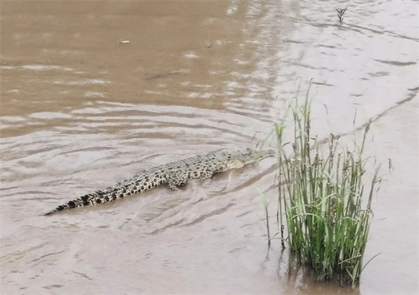 廿載風(fēng)云一路行，馬來風(fēng)情共見證&mdash;&mdash;2024廣東博皓馬來西亞之旅   -15